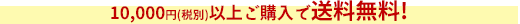 10000円（税抜き）以上ご購入で送料無料！
